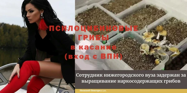 бутират Армянск